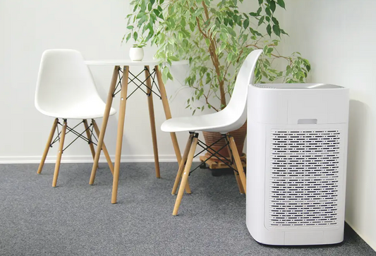 Purificateur d'air HL800